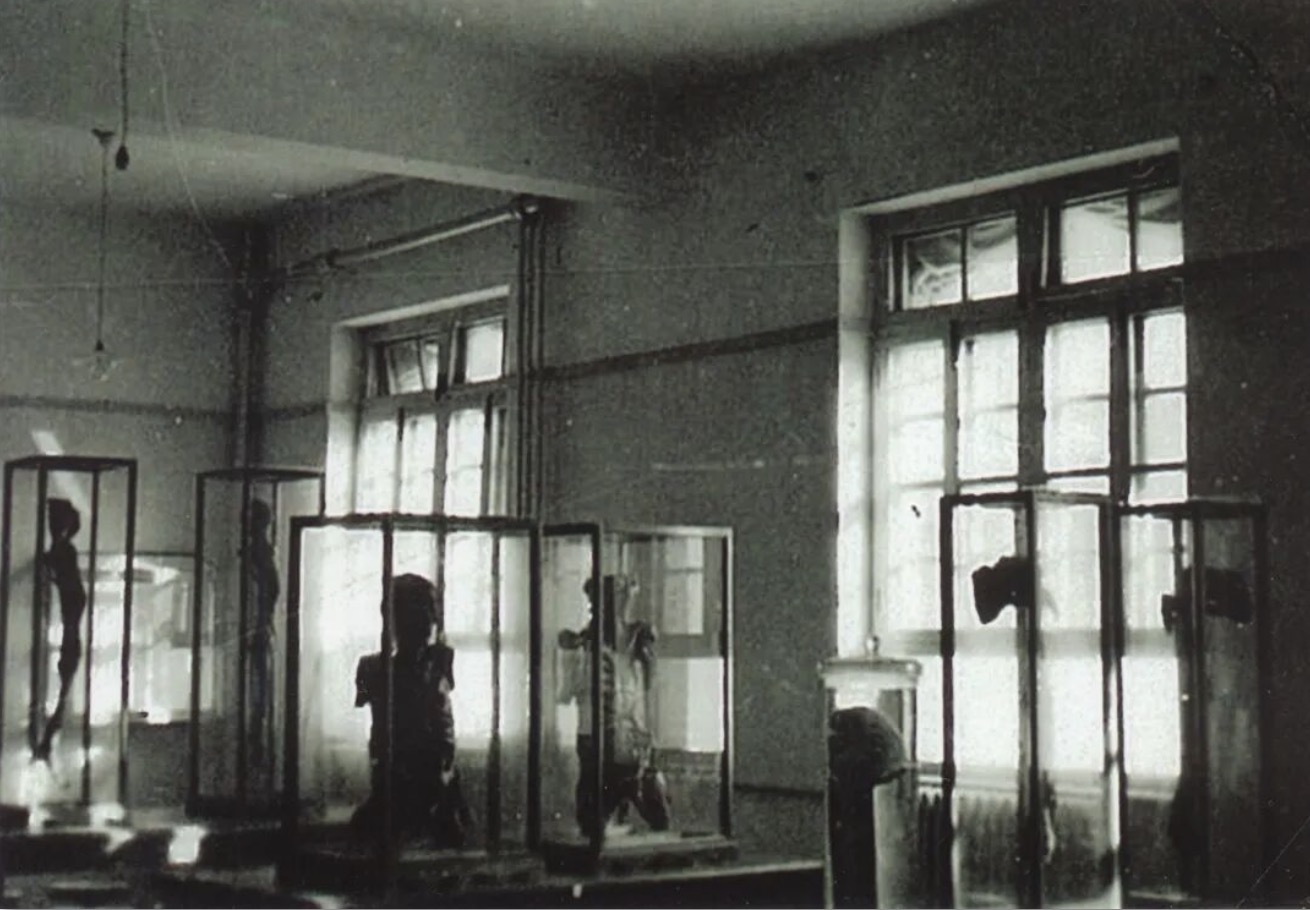 4ee7fcde91464ff481ddd7fd8fec4db0.jpg 4ee7fcde91464ff481ddd7fd8fec4db0.jpg