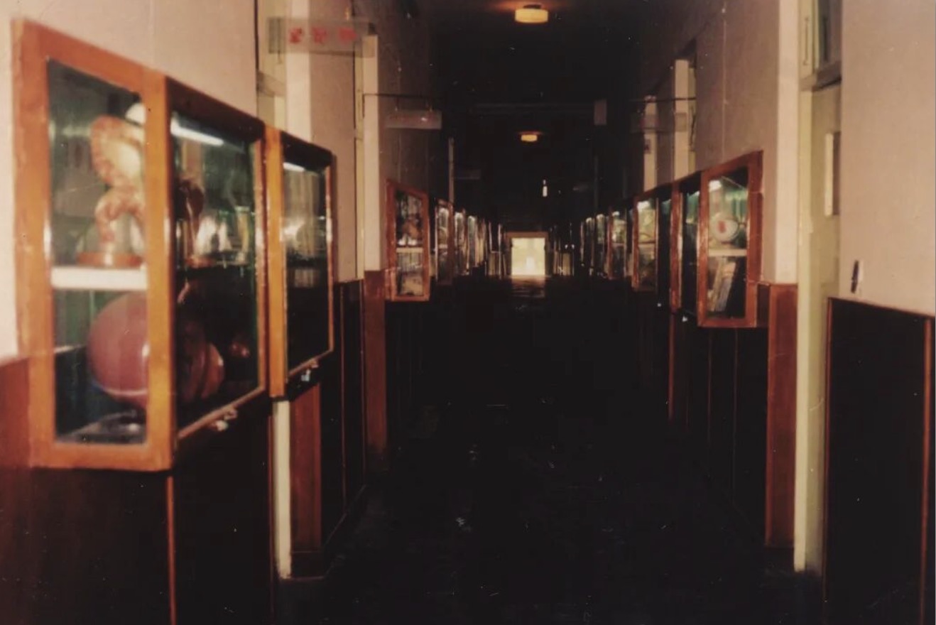 995fbced18ae495a93734f6036d38e47.jpg 995fbced18ae495a93734f6036d38e47.jpg